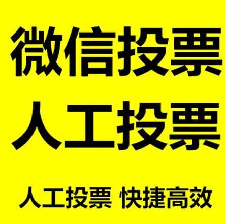 伊犁哈萨克自治州投票活动拉票能被查出来吗？如何操作能不被发现？